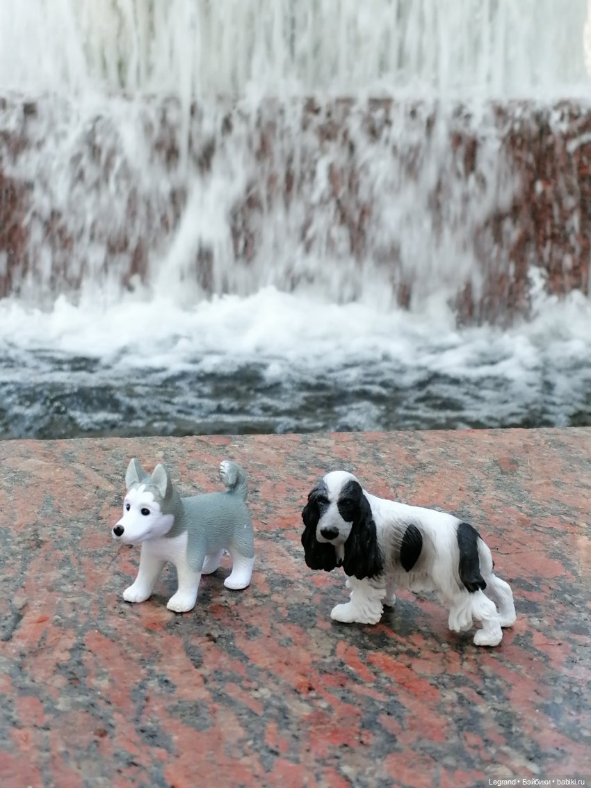 Санкт-Петербург: "Вселенная Воды" на Шпалерной - питомцы у фонтана и в сквере (фото 4)