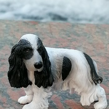 Санкт-Петербург: "Вселенная Воды" на Шпалерной - питомцы у фонтана и в сквере