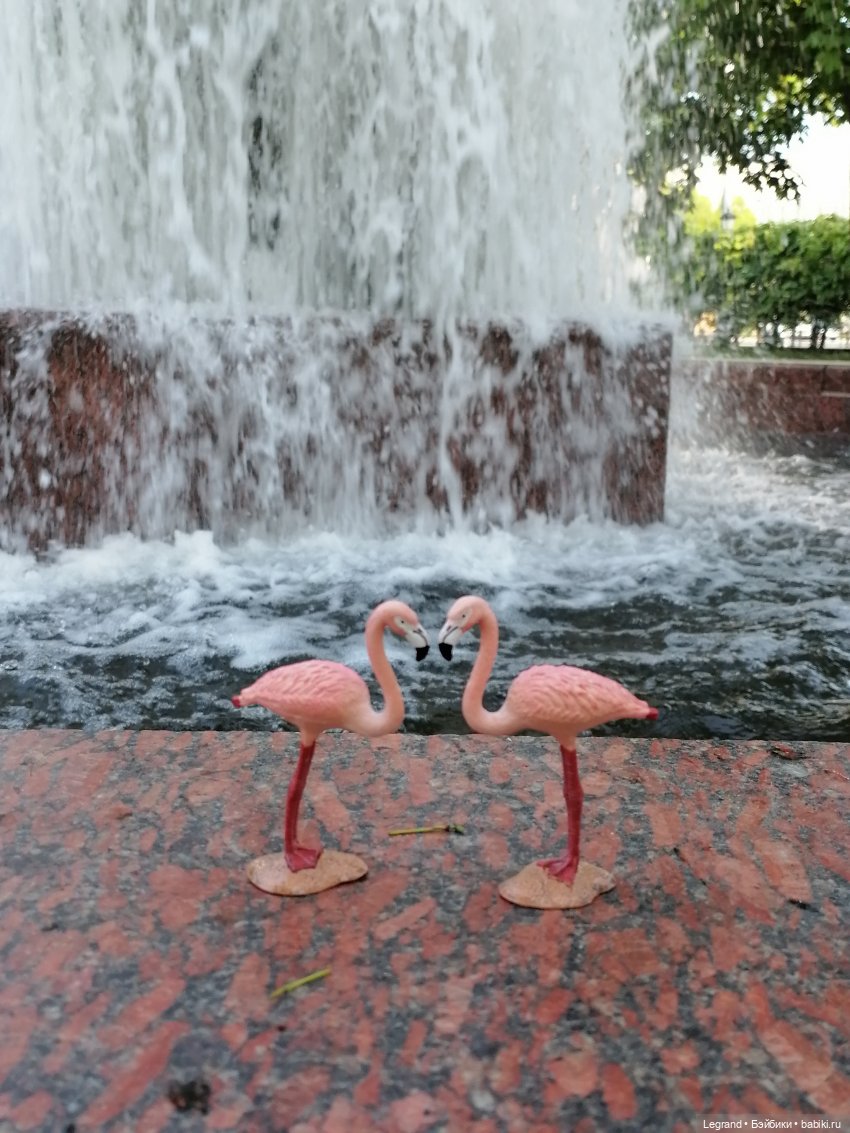 Санкт-Петербург: "Вселенная Воды" на Шпалерной - питомцы у фонтана и в сквере