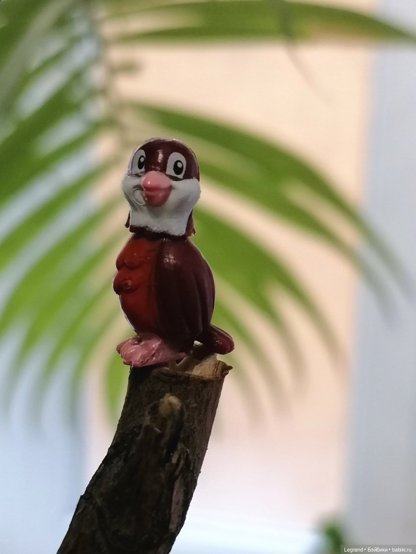 Эксклюзивные фото крошечной птицы🤗🐦 (фото 10)