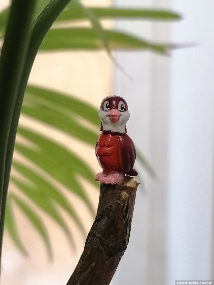 Эксклюзивные фото крошечной птицы🤗🐦 (фото 8)