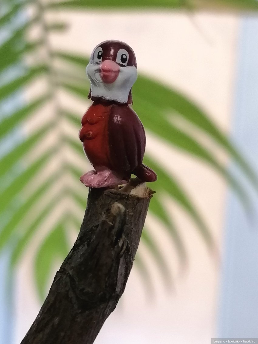 Эксклюзивные фото крошечной птицы🤗🐦