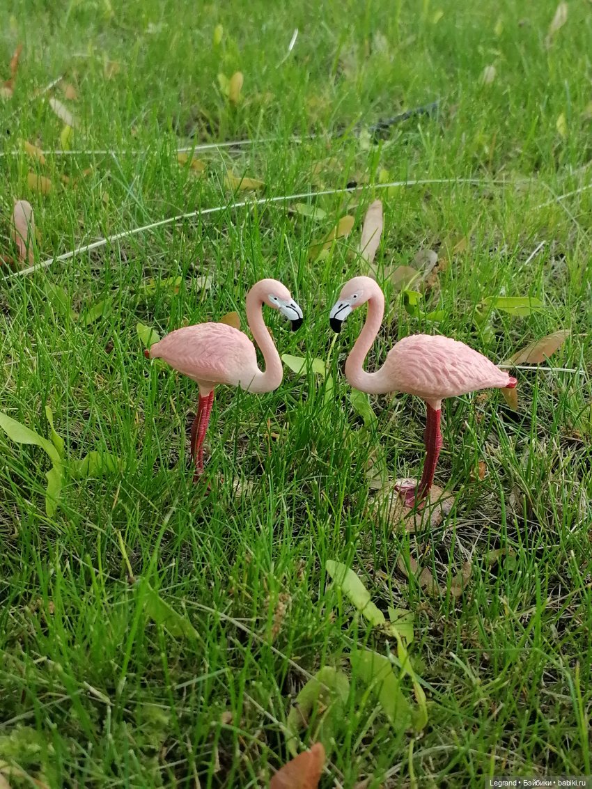 Санкт-Петербург: "Вселенная Воды" на Шпалерной - питомцы у фонтана и в сквере