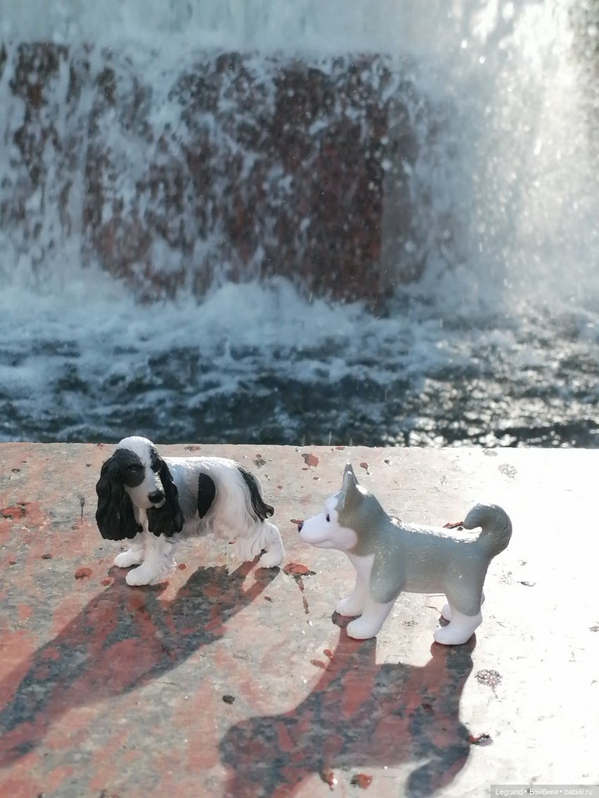 Санкт-Петербург: "Вселенная Воды" на Шпалерной - питомцы у фонтана и в сквере