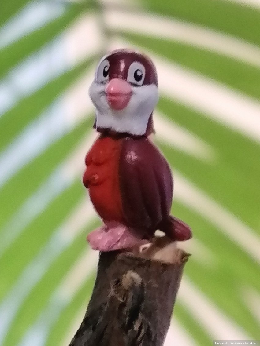 Эксклюзивные фото крошечной птицы🤗🐦