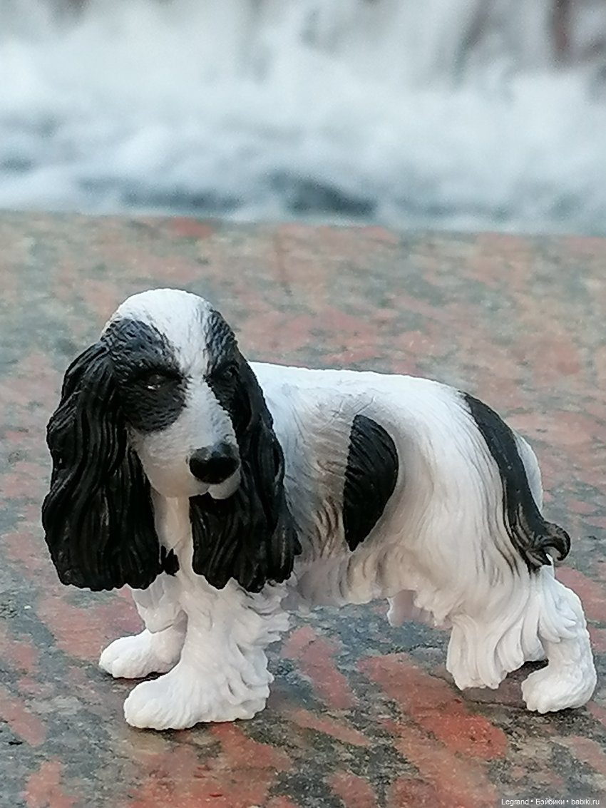 Санкт-Петербург: "Вселенная Воды" на Шпалерной - питомцы у фонтана и в сквере