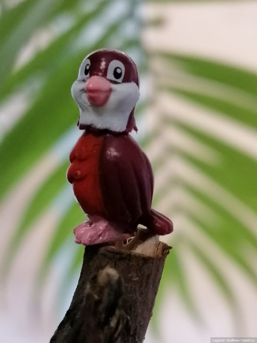 Эксклюзивные фото крошечной птицы🤗🐦