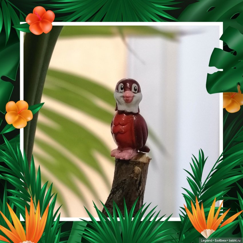 Эксклюзивные фото крошечной птицы🤗🐦