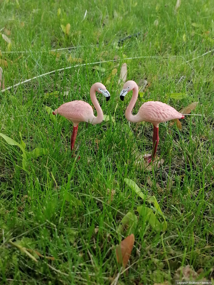 Санкт-Петербург: "Вселенная Воды" на Шпалерной - питомцы у фонтана и в сквере