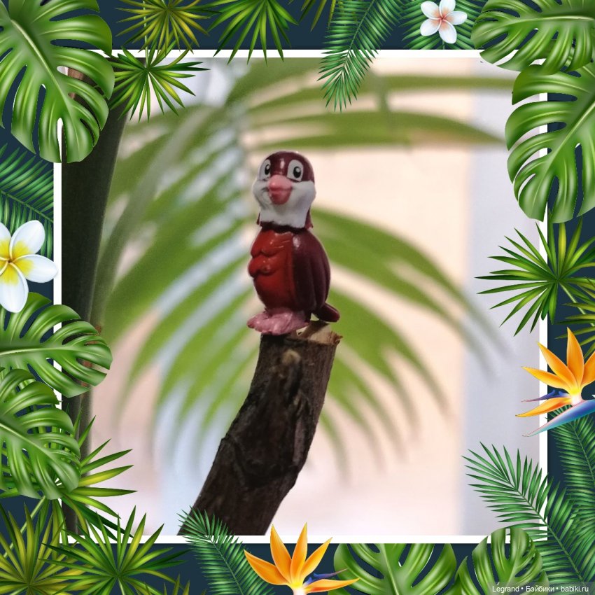 Эксклюзивные фото крошечной птицы🤗🐦