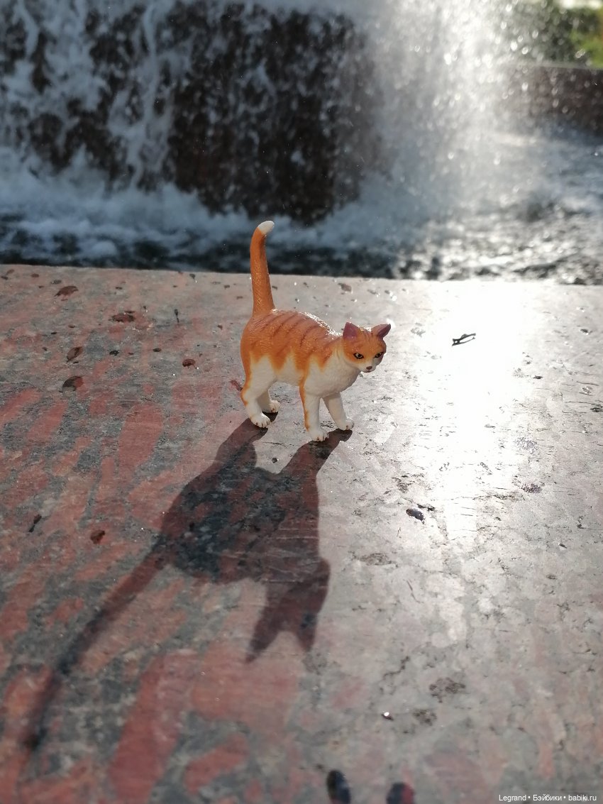 Санкт-Петербург: "Вселенная Воды" на Шпалерной - питомцы у фонтана и в сквере