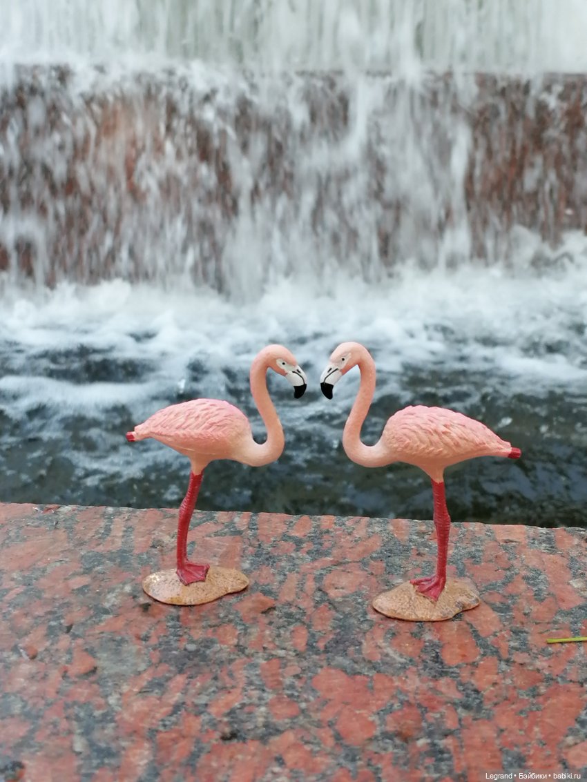 Санкт-Петербург: "Вселенная Воды" на Шпалерной - питомцы у фонтана и в сквере