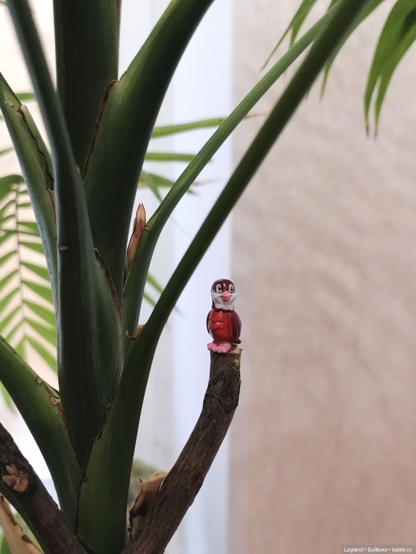 Эксклюзивные фото крошечной птицы🤗🐦 (фото 7)