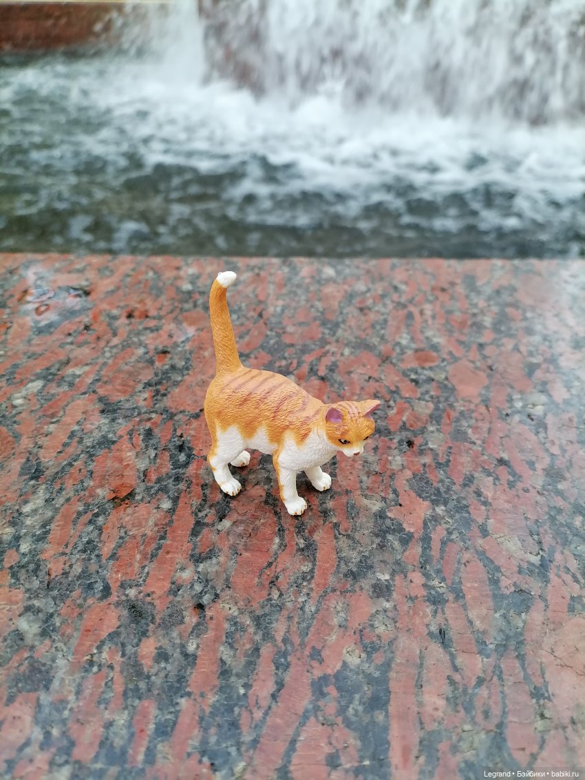 Санкт-Петербург: "Вселенная Воды" на Шпалерной - питомцы у фонтана и в сквере