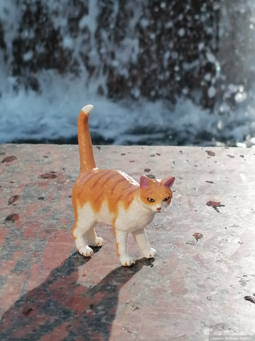 Санкт-Петербург: "Вселенная Воды" на Шпалерной - питомцы у фонтана и в сквере