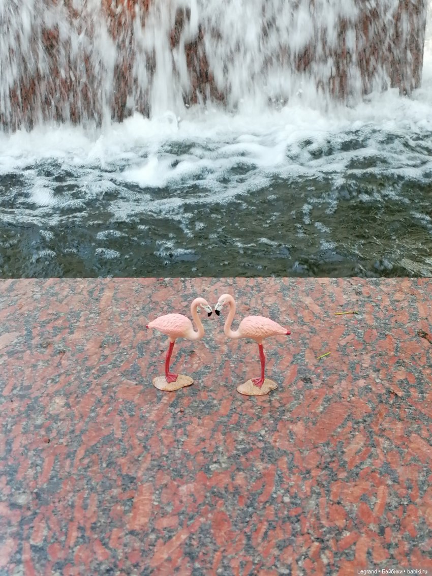 Санкт-Петербург: "Вселенная Воды" на Шпалерной - питомцы у фонтана и в сквере