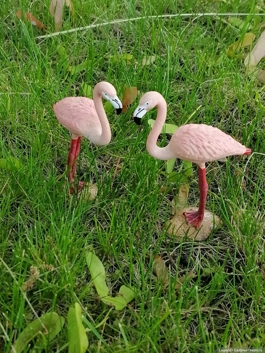 Санкт-Петербург: "Вселенная Воды" на Шпалерной - питомцы у фонтана и в сквере