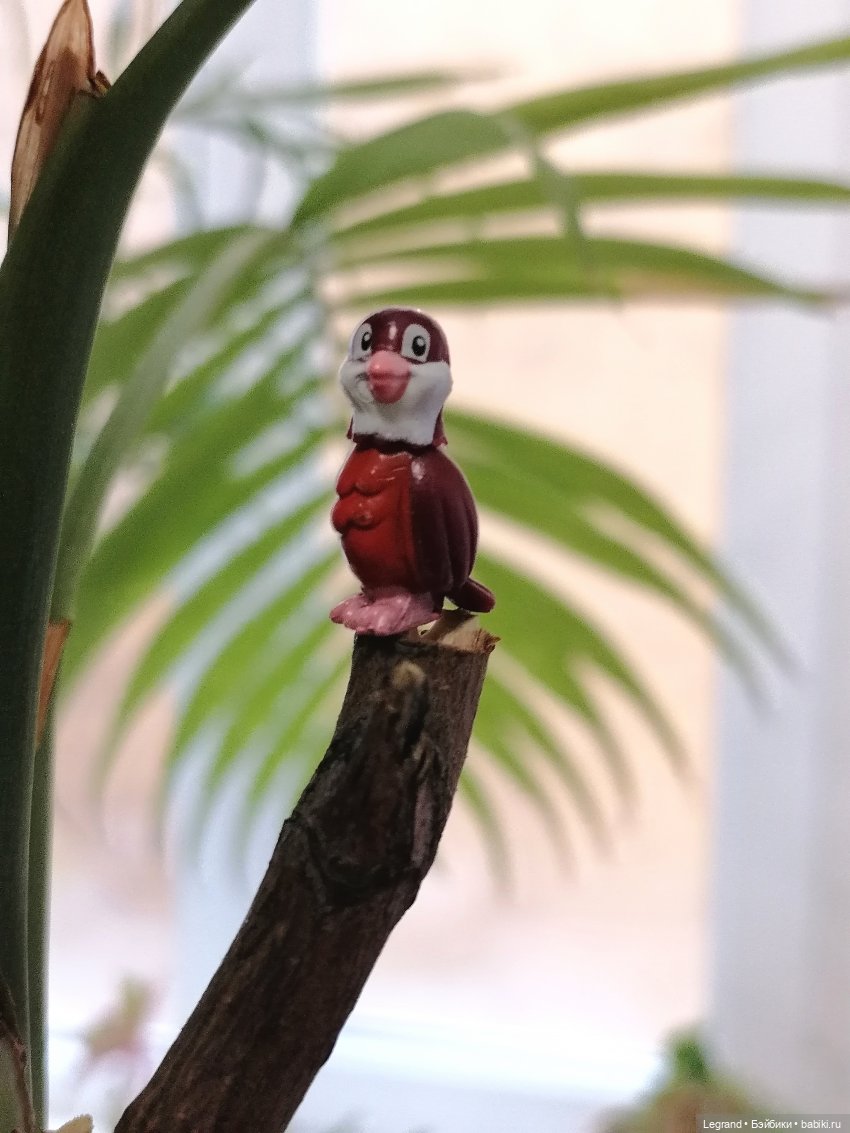 Эксклюзивные фото крошечной птицы🤗🐦