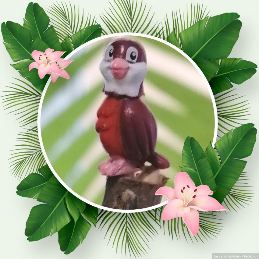 Эксклюзивные фото крошечной птицы🤗🐦