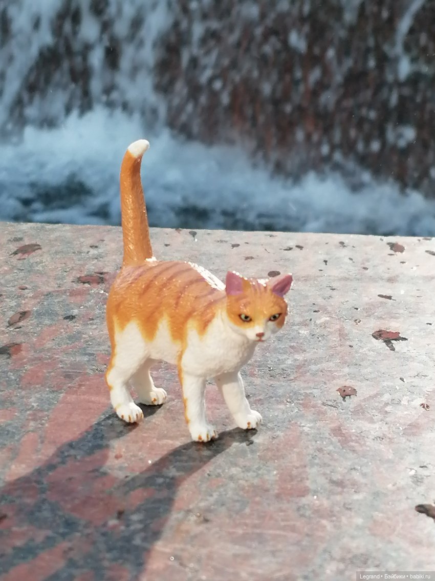 Санкт-Петербург: "Вселенная Воды" на Шпалерной - питомцы у фонтана и в сквере