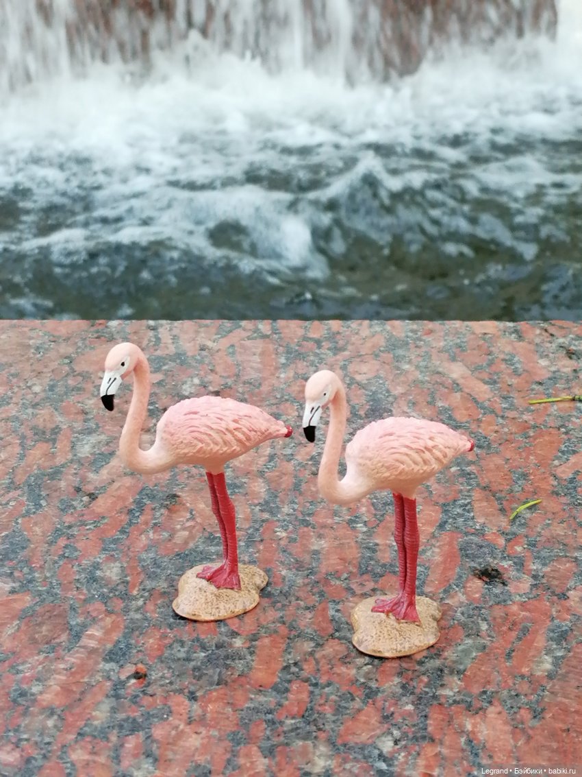 Санкт-Петербург: "Вселенная Воды" на Шпалерной - питомцы у фонтана и в сквере