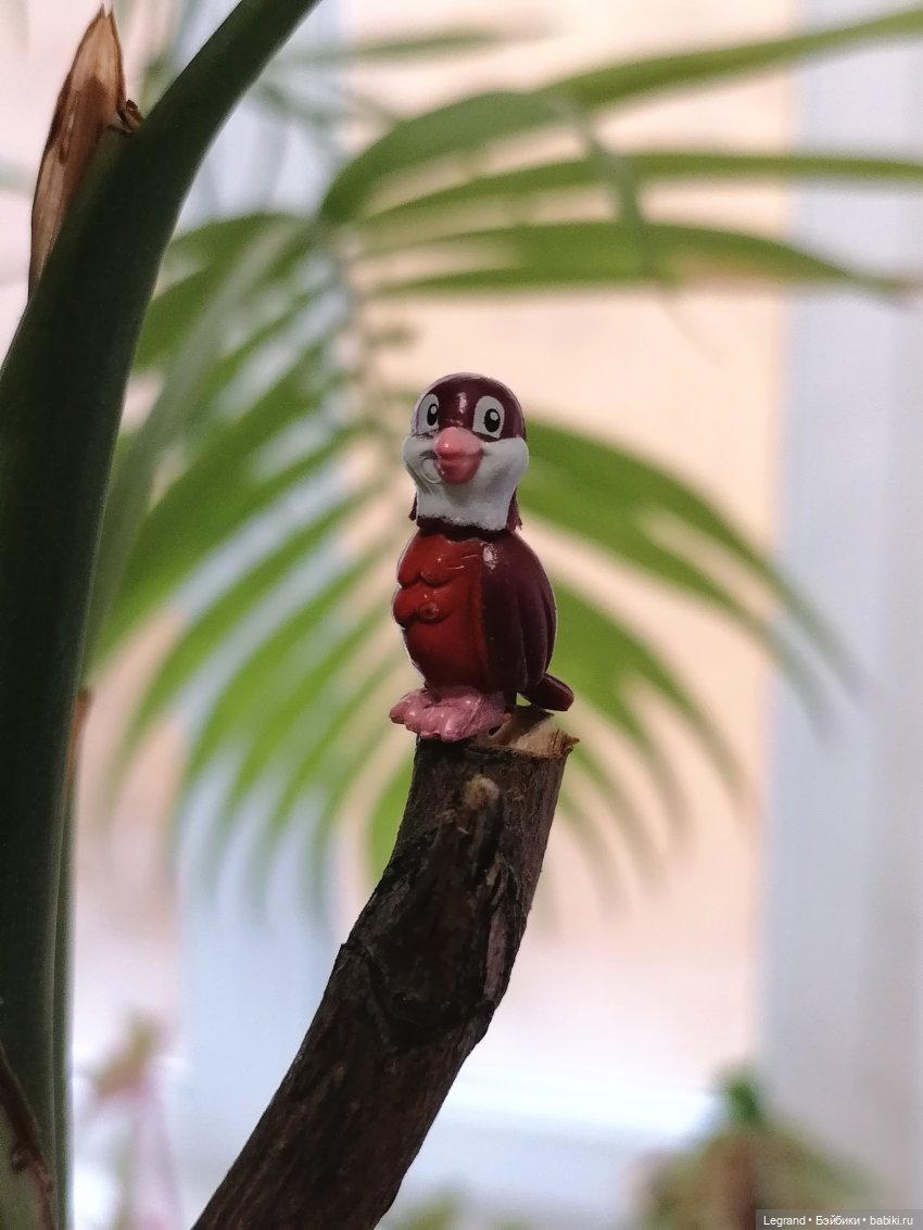 Эксклюзивные фото крошечной птицы🤗🐦