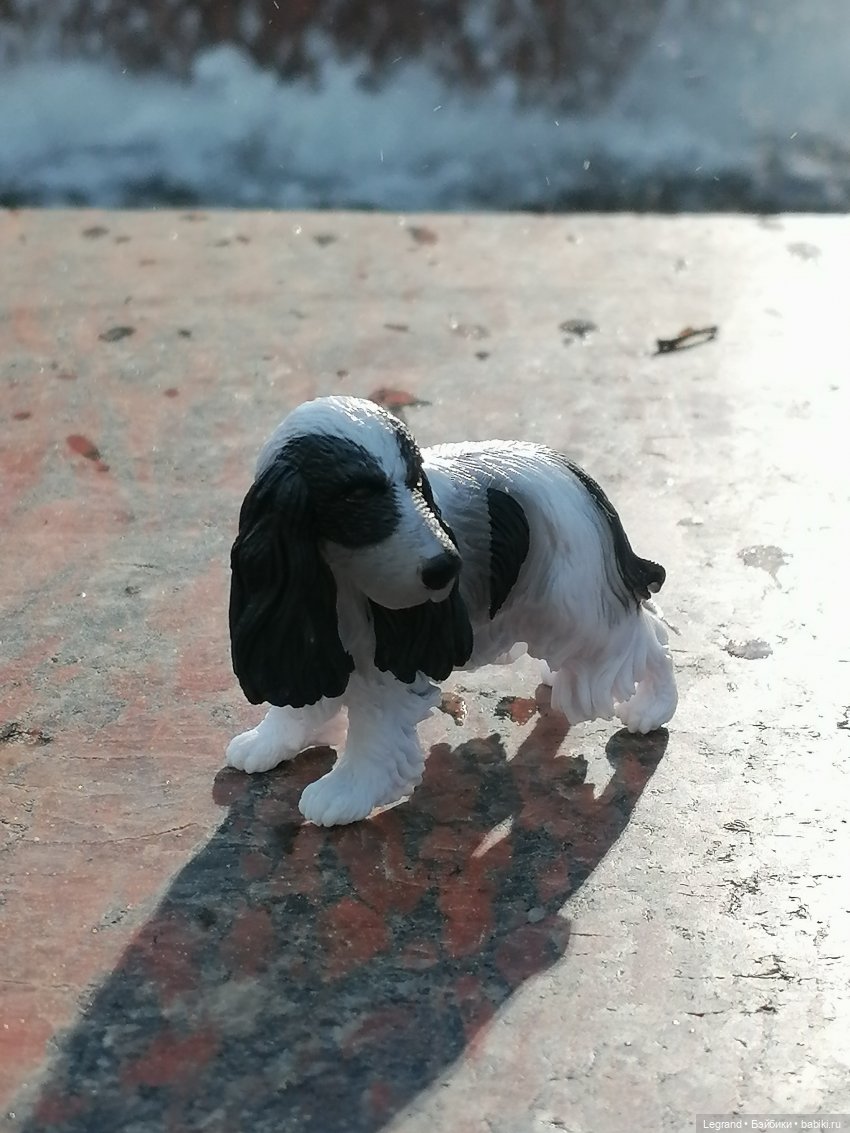 Санкт-Петербург: "Вселенная Воды" на Шпалерной - питомцы у фонтана и в сквере