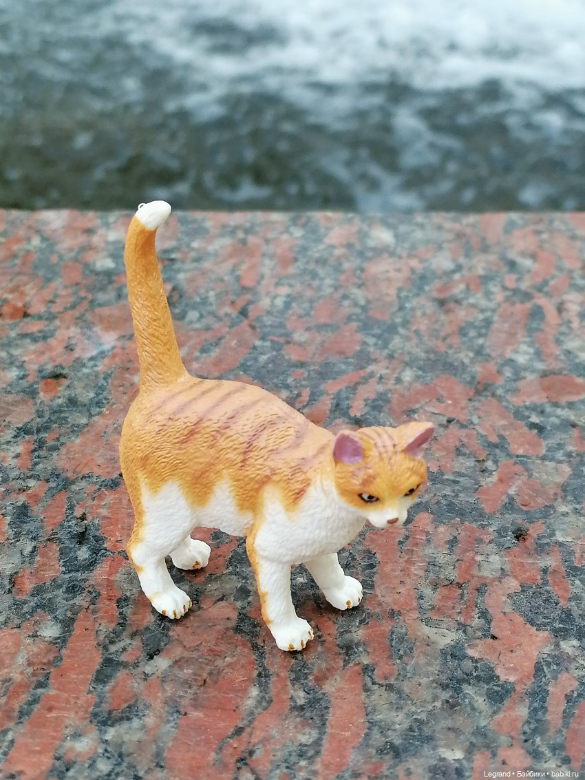 Санкт-Петербург: "Вселенная Воды" на Шпалерной - питомцы у фонтана и в сквере