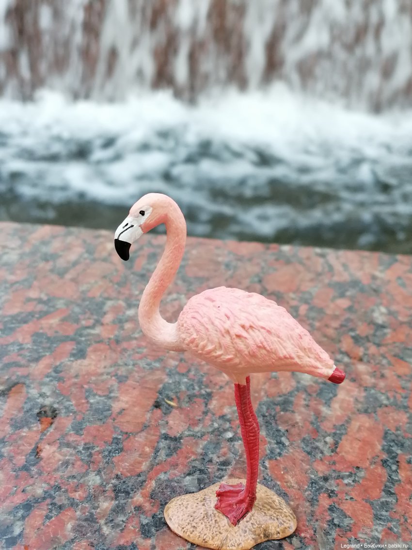 Санкт-Петербург: "Вселенная Воды" на Шпалерной - питомцы у фонтана и в сквере