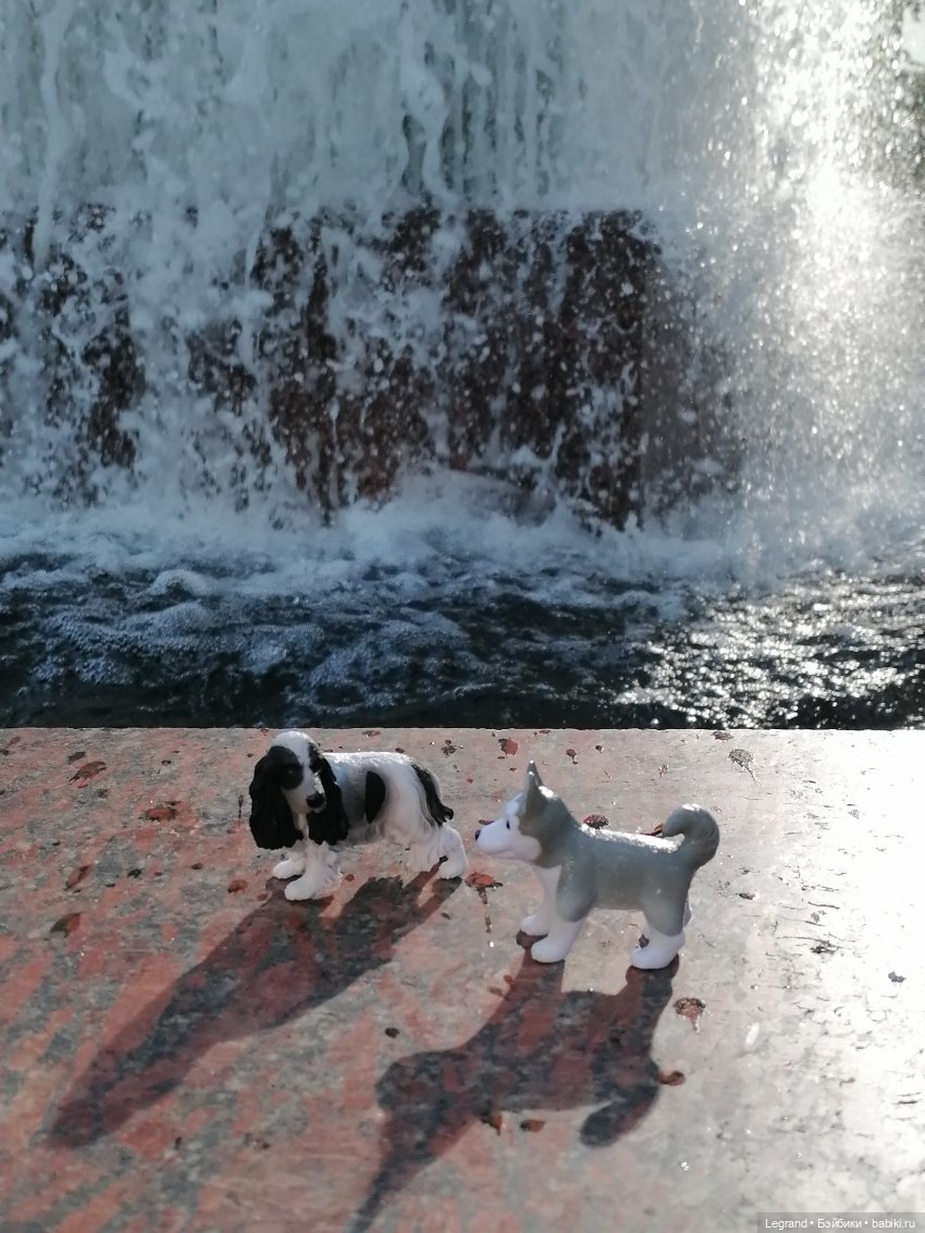 Санкт-Петербург: "Вселенная Воды" на Шпалерной - питомцы у фонтана и в сквере