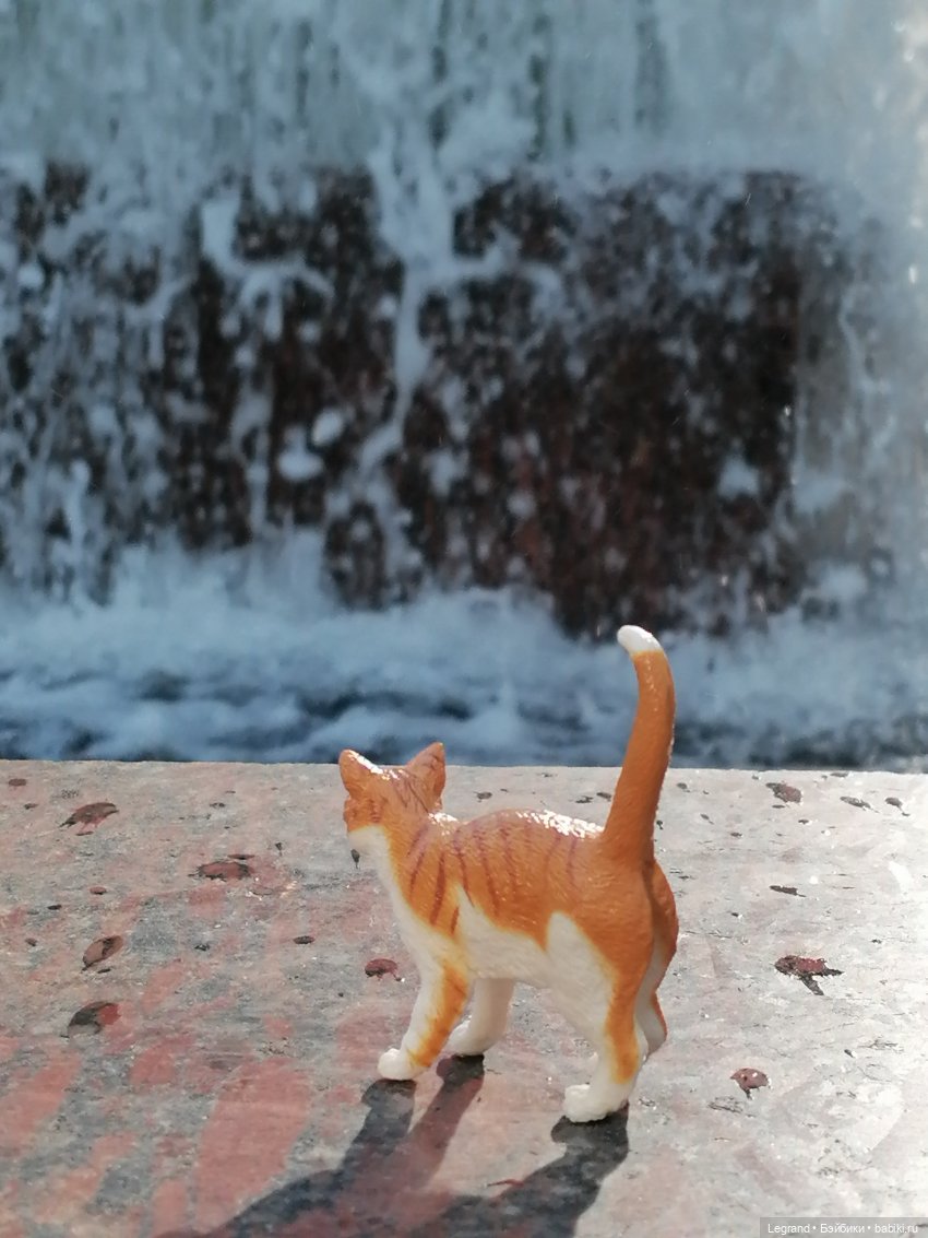 Санкт-Петербург: "Вселенная Воды" на Шпалерной - питомцы у фонтана и в сквере