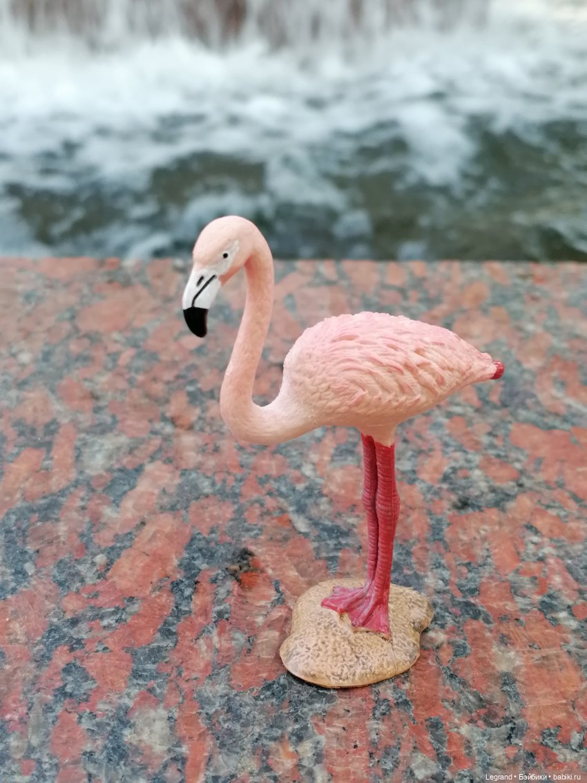 Санкт-Петербург: "Вселенная Воды" на Шпалерной - питомцы у фонтана и в сквере