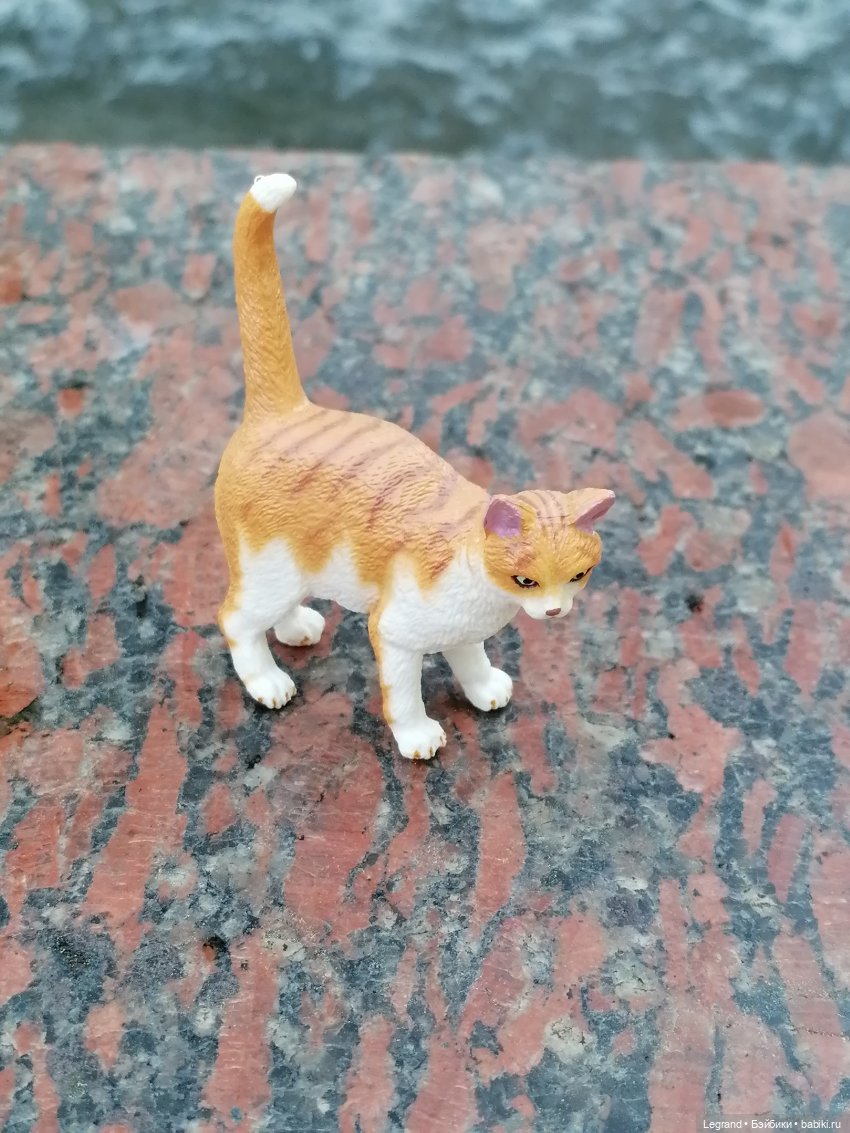 Санкт-Петербург: "Вселенная Воды" на Шпалерной - питомцы у фонтана и в сквере