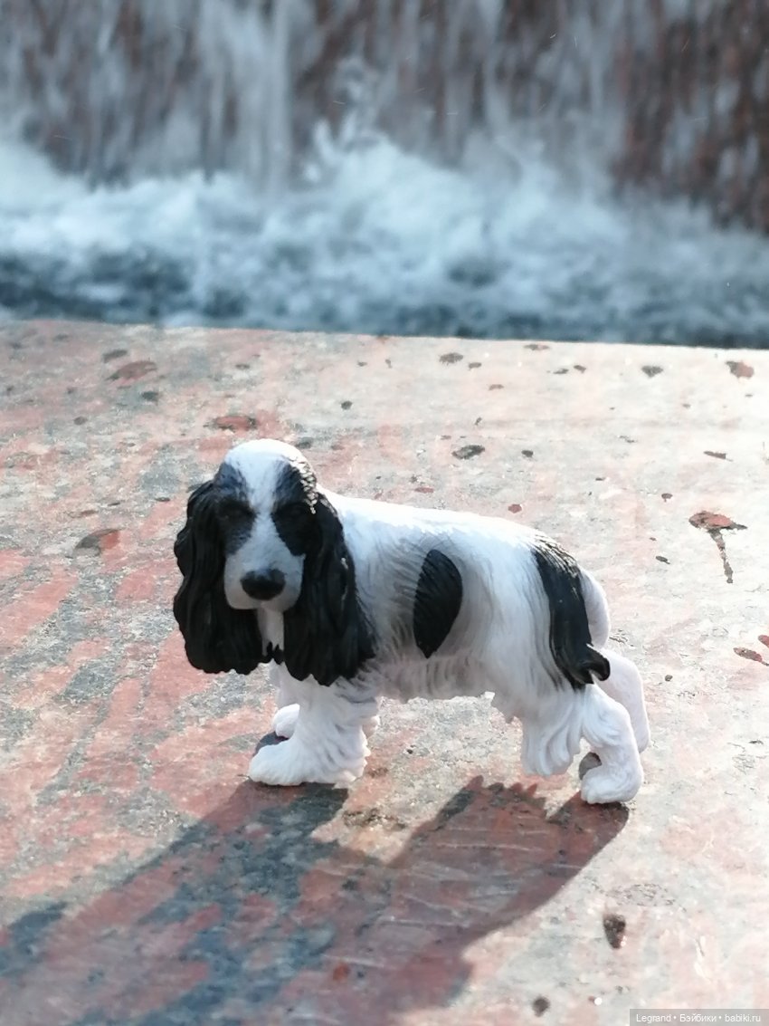 Санкт-Петербург: "Вселенная Воды" на Шпалерной - питомцы у фонтана и в сквере
