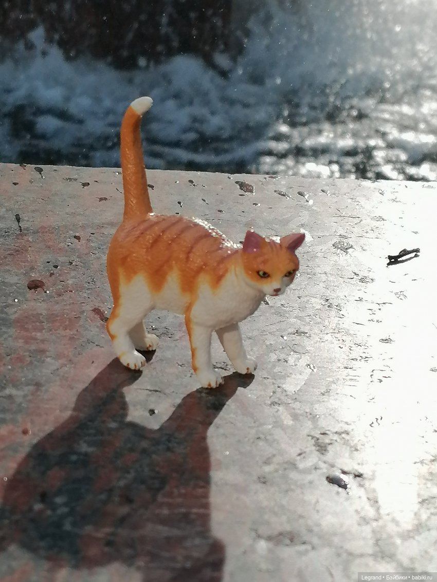 Санкт-Петербург: "Вселенная Воды" на Шпалерной - питомцы у фонтана и в сквере