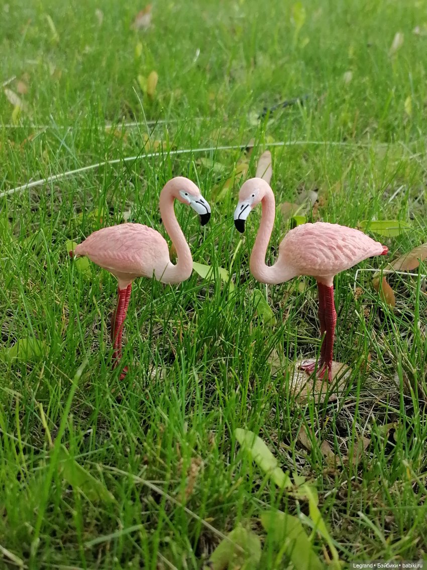 Санкт-Петербург: "Вселенная Воды" на Шпалерной - питомцы у фонтана и в сквере