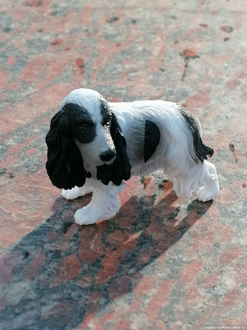 Санкт-Петербург: "Вселенная Воды" на Шпалерной - питомцы у фонтана и в сквере