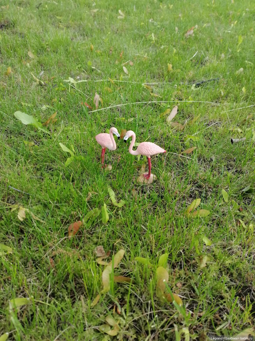 Санкт-Петербург: "Вселенная Воды" на Шпалерной - питомцы у фонтана и в сквере