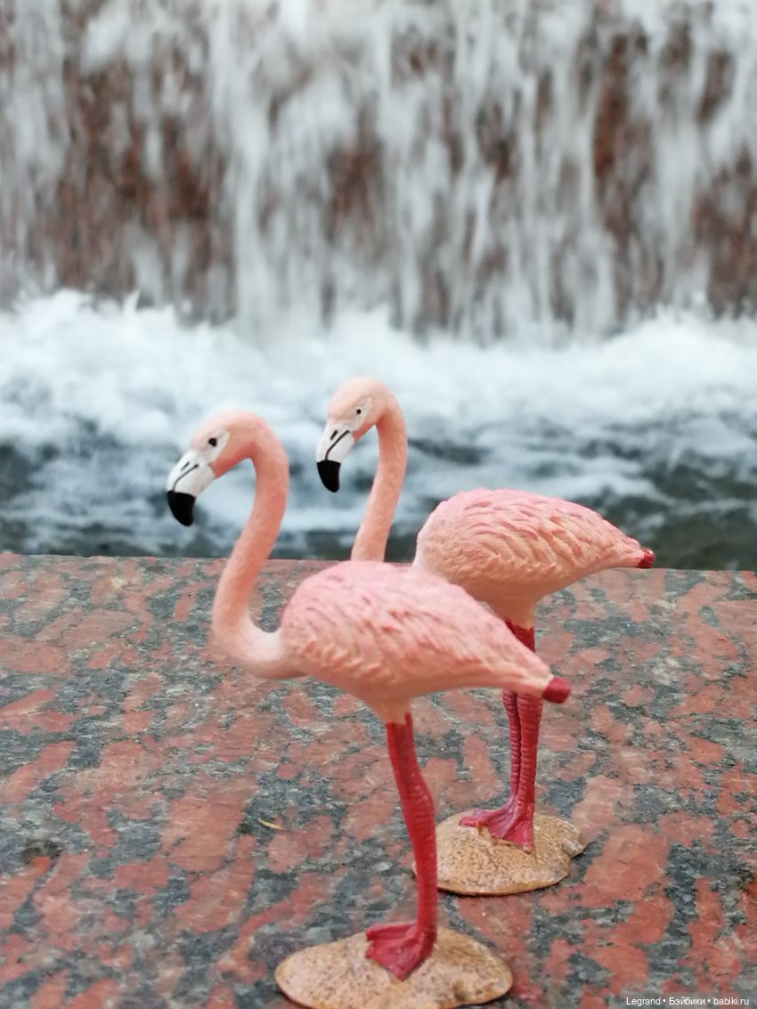 Санкт-Петербург: "Вселенная Воды" на Шпалерной - питомцы у фонтана и в сквере