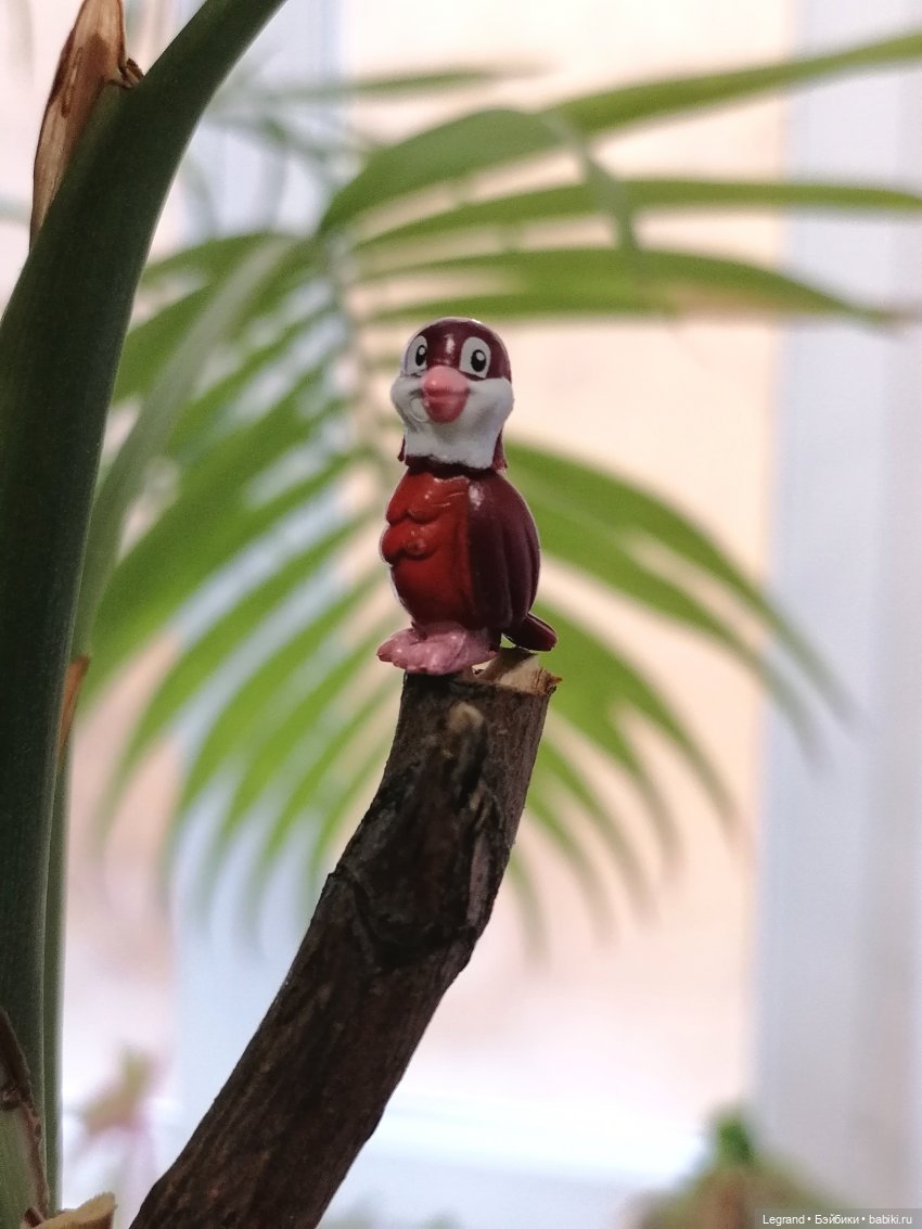 Эксклюзивные фото крошечной птицы🤗🐦 (фото 9)