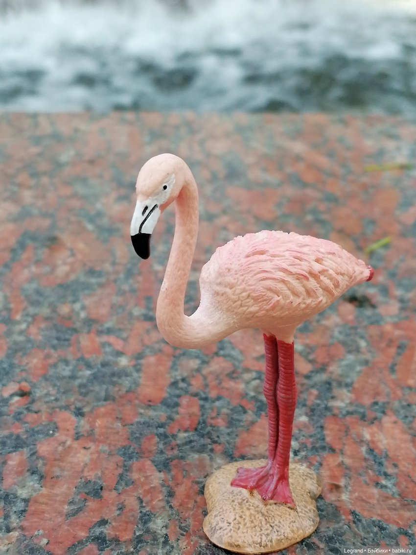 Санкт-Петербург: "Вселенная Воды" на Шпалерной - питомцы у фонтана и в сквере