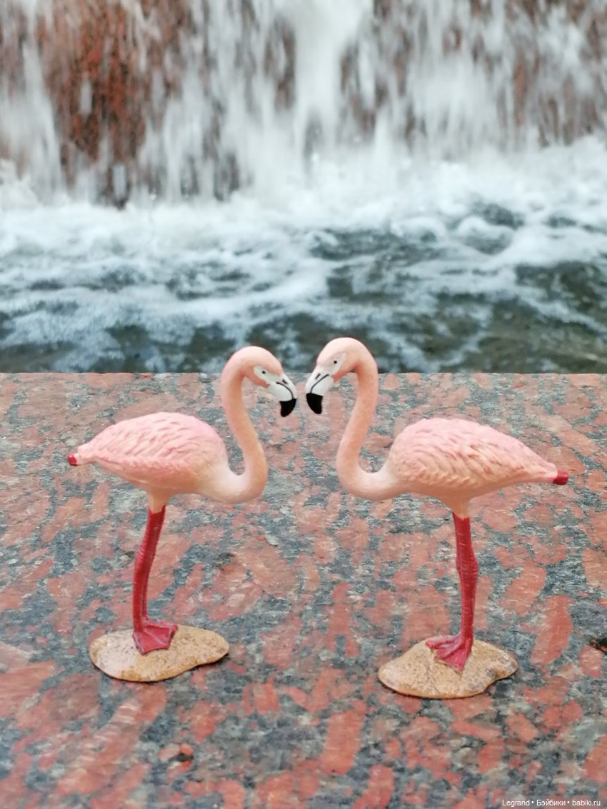 Санкт-Петербург: "Вселенная Воды" на Шпалерной - питомцы у фонтана и в сквере