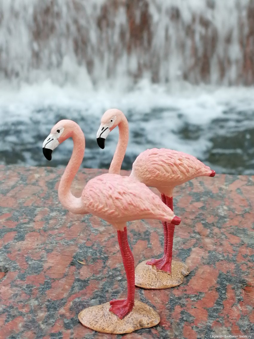 Санкт-Петербург: "Вселенная Воды" на Шпалерной - питомцы у фонтана и в сквере