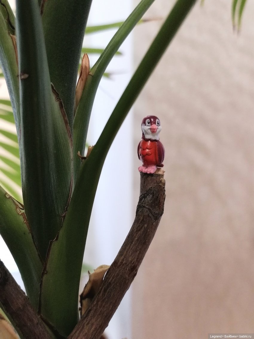 Эксклюзивные фото крошечной птицы🤗🐦 (фото 6)