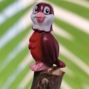 Эксклюзивные фото крошечной птицы🤗🐦