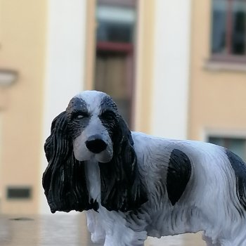 Лурения - Петербург: новые питомцы в Парадном квартале