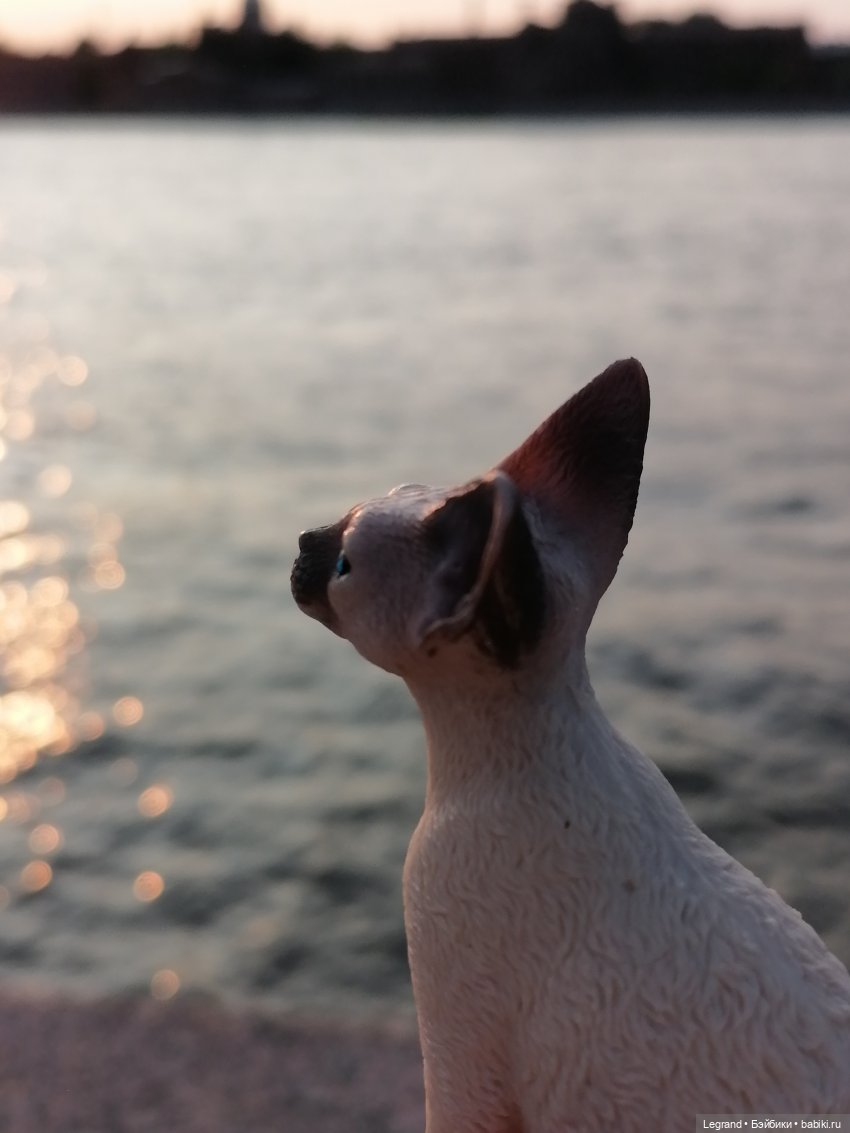 Санкт-Петербург: Нева - закат на Неве