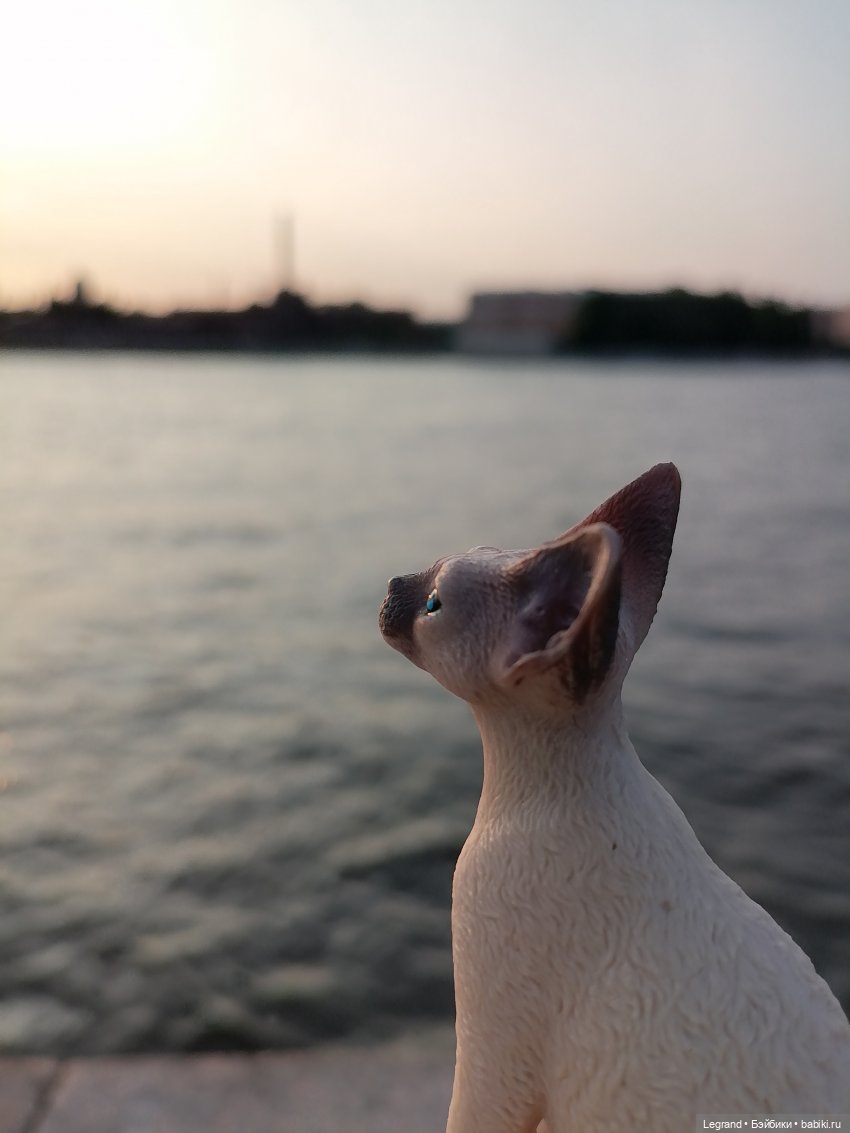 Санкт-Петербург: Нева - закат на Неве