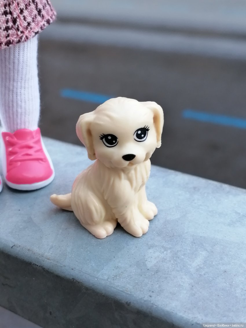 Санкт-Петербург: длинная прогулка с Кирой - по дороге к Невскому