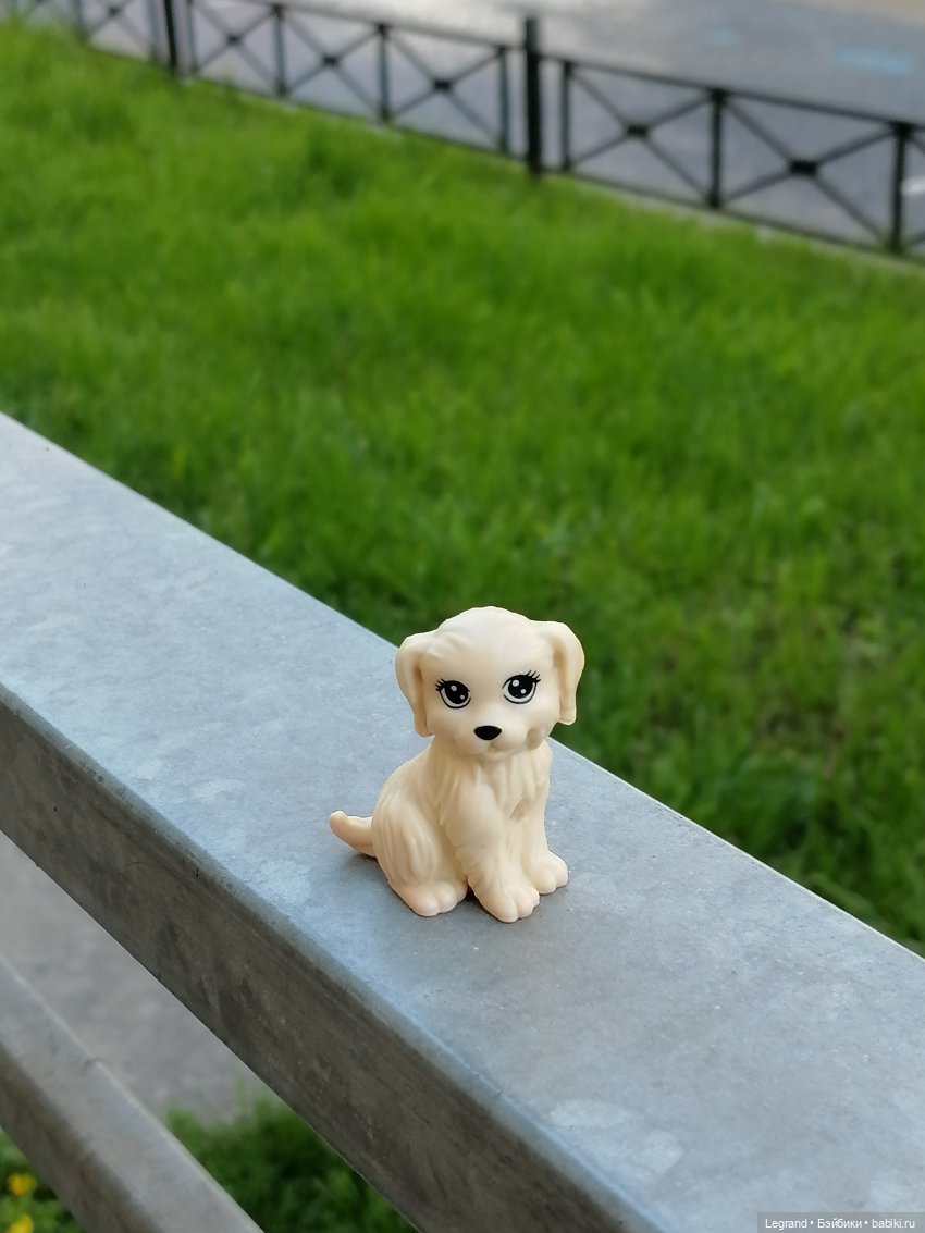 Санкт-Петербург: длинная прогулка с Кирой - по дороге к Невскому